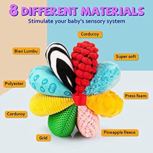 8-in-1 Sensory Balls for Infant Toddlers,Rainbow Fabric Baby Toy for Sensory Development,Montessori Toys for Babies 6-12 Months,8 Different Sensory Tactile Textures with Crinkle Rattle Squeakers
