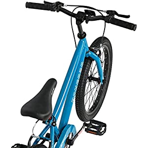 Glerc 20 inch Kids Bike for 5-9 Years Old Boys and Girls with Dual Handbrakes,Kick Stand, Blue Pink and Green