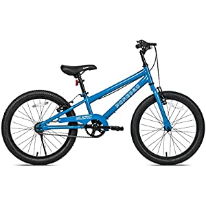 Glerc 20 inch Kids Bike for 5-9 Years Old Boys and Girls with Dual Handbrakes,Kick Stand, Blue Pink and Green