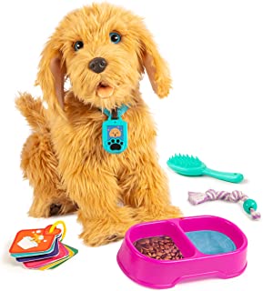Sky Rocket My Fuzzy Friend Moji Interactive Labradoodle - Plush Interactive Dog Toy for Boys and Girls, Loveable and Lifelike Companion Pet