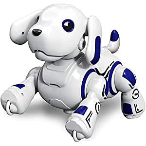Robot Dog Toy for Kids, OKK Remote Control Robot Toy Dog and Programmable  Toy Robot, Smart Dancing Walking RC Robot Puppy, Interactive Voice Control