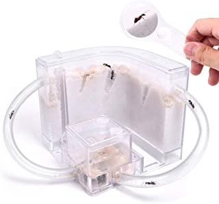 NAVADEAL Sand Ant Farm with Connecting Tubes, Habitat Educational & Learning Science Kit Toy for Kids & Adults - Allows Study of Ecosystem, Behavior of Ants, Explore The World at Home and School
