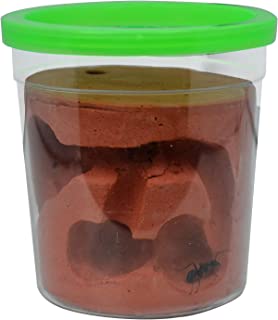 Ant Farm Nest,Ecological Soil Ant Habitat Science Learning Kit Suite, Study Insect Behavior and Ecosystem at Home & School
