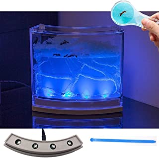 NAVADEAL Ant Farm Habitat for Kids W/ LED Light – Great Educational & Science Kit with Nutrient Blue Gel, Observing Ants Create 3D Tunnels to Study Ants Behaviors & Ecosystem (Live Ants not Included)